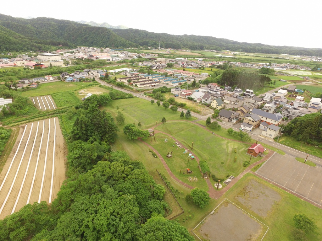 平成30年6月15日撮影の画像2