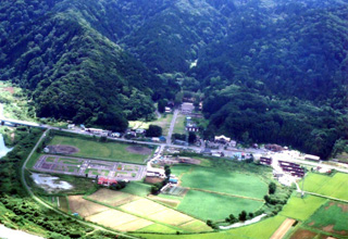 羽板内山天然林