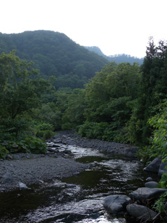 天然記念物鶉川ゴヨウマツ自生北限地帯の画像