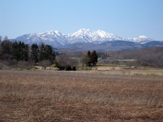早春の乙部岳の画像