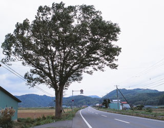 鶉村古戦場（うずらむらこせんじょう）の画像