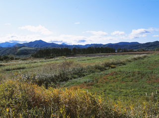 開墾役所跡（かいこんやくしょあと）の画像