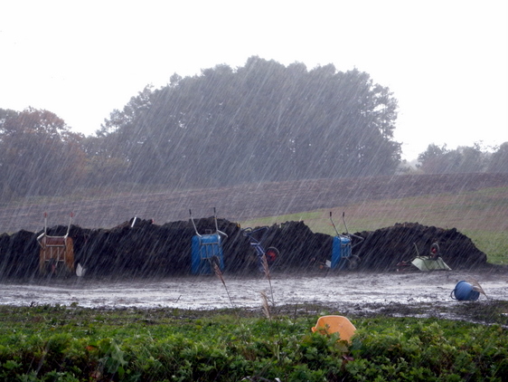 全てを台無しにする豪雨