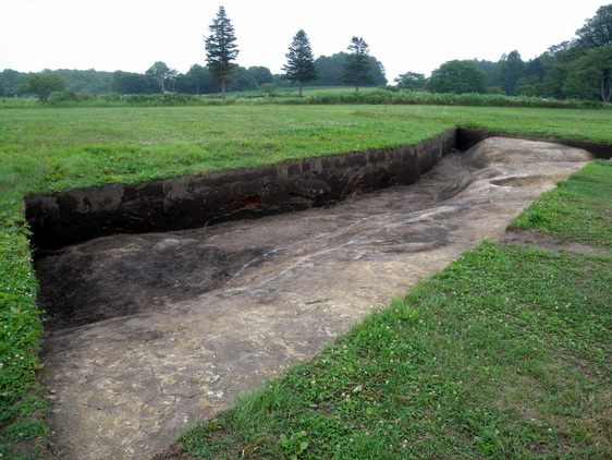 長大な土層断面