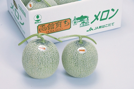 メロンの画像
