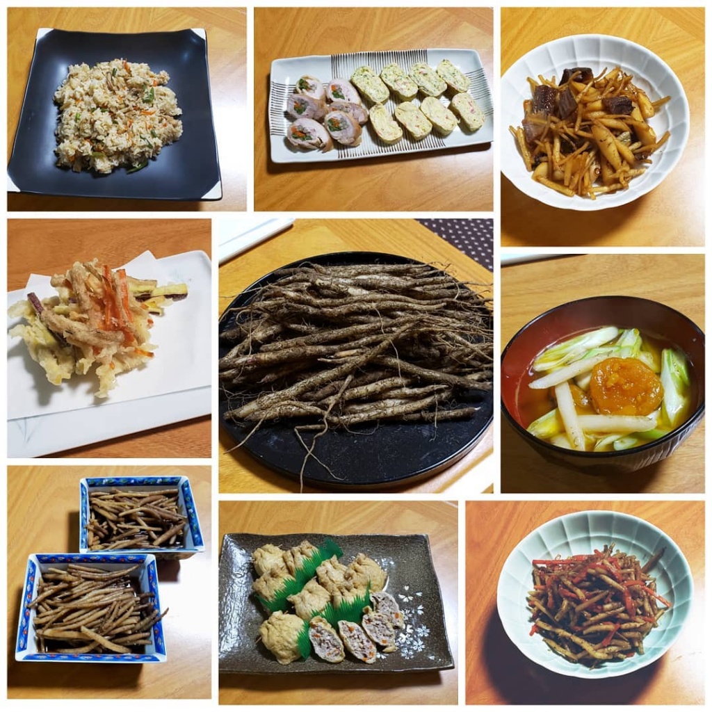 山ごぼう
