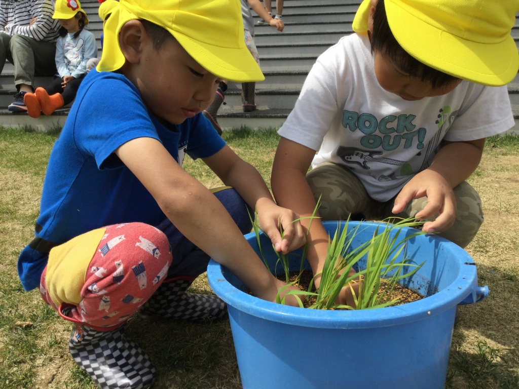 こども園「はぜる」菜園スタート２