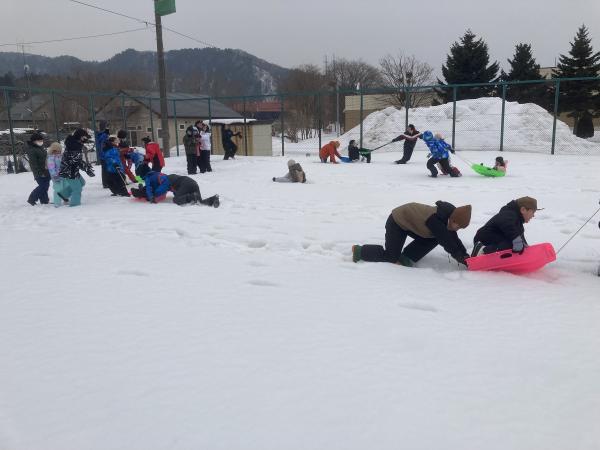 赤いバラの画像