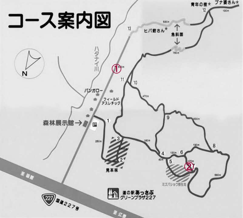 ヒグマの食痕の確認位置