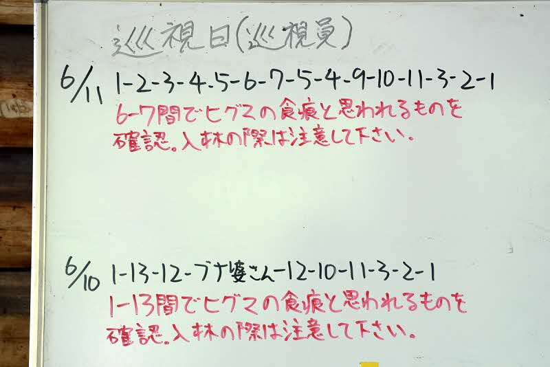 6月11日の巡視結果