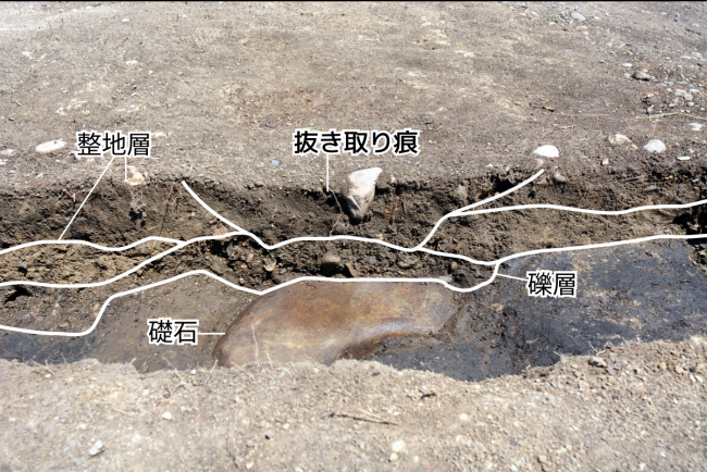 土層断面