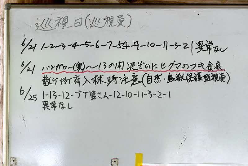 6月25日の巡視結果