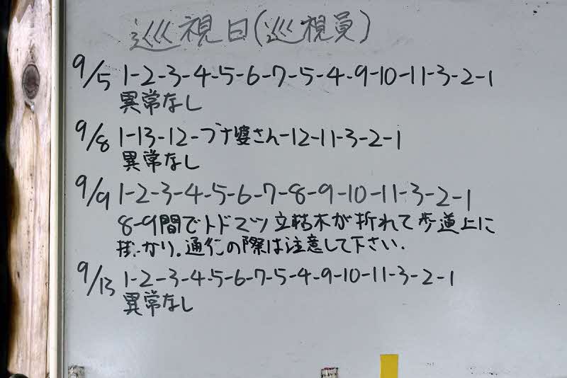 9月13日の巡視結果
