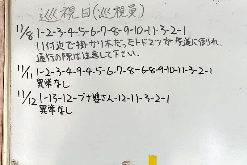 11月12日の巡視結果