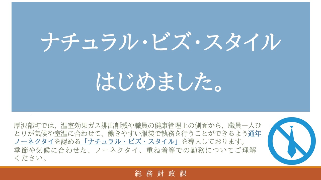 ナチュラルビズスタイルチラシ