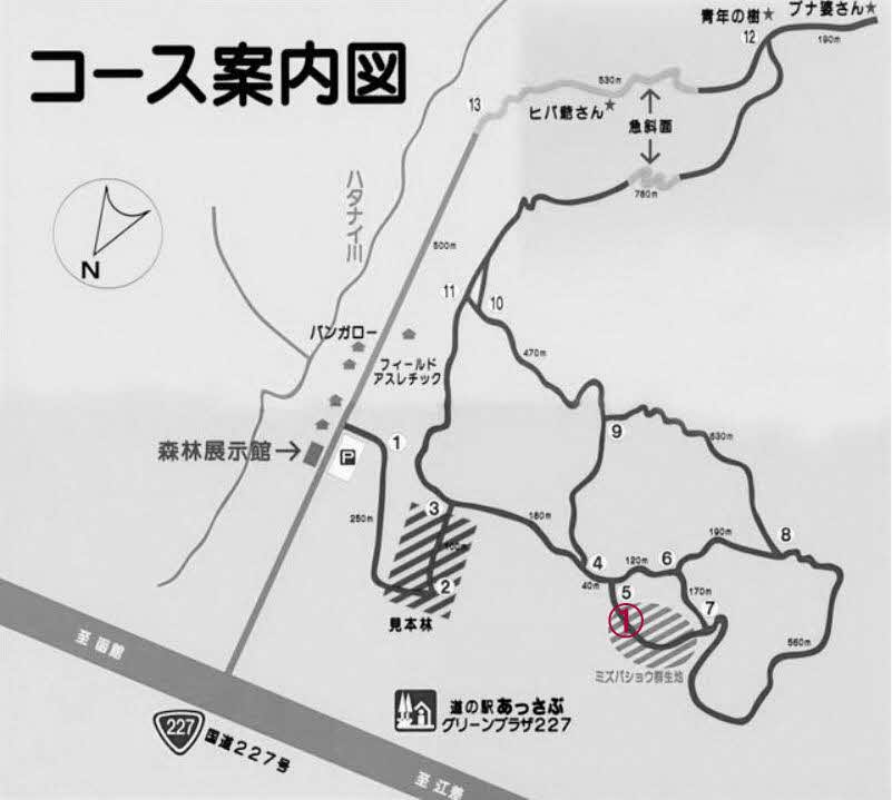 木橋の位置