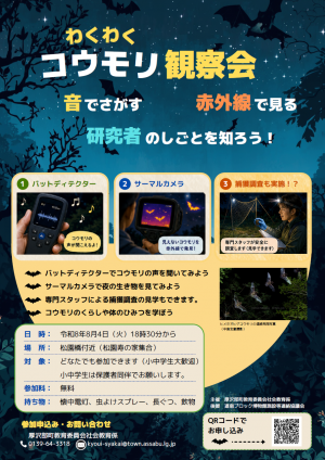 チラシ